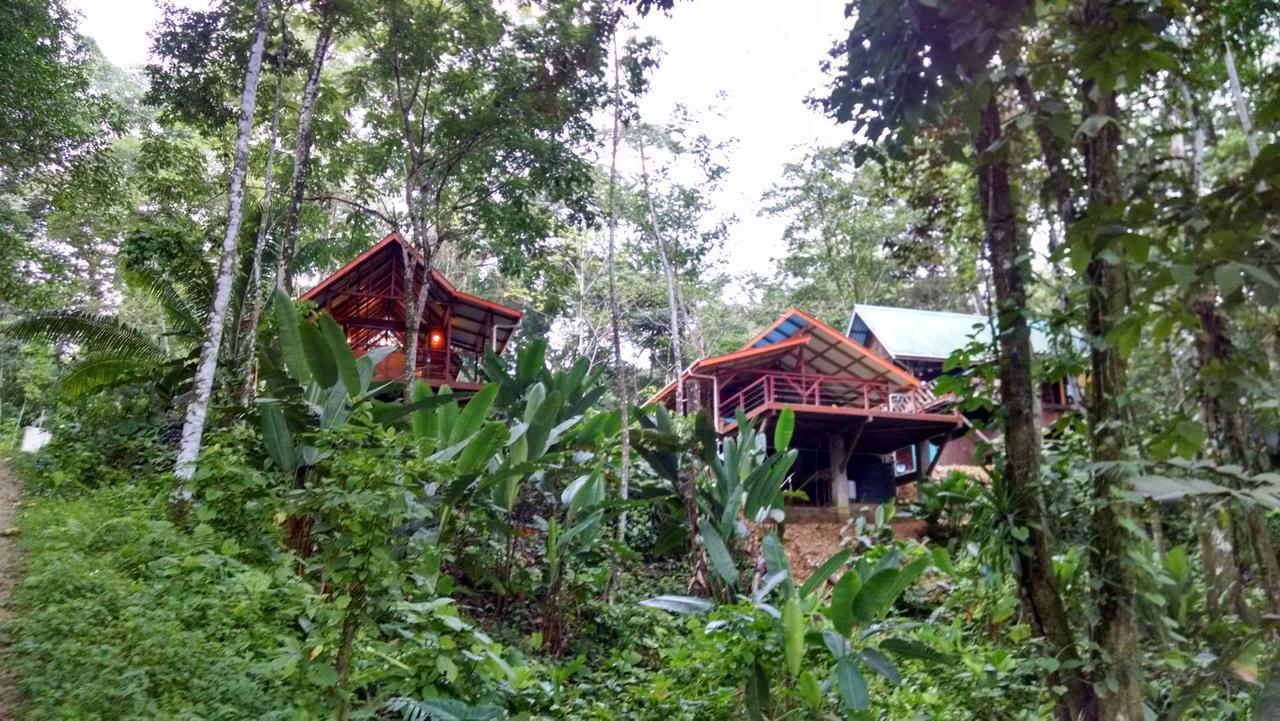 Surf Break At Paunch Bed & Breakfast Bocas del Toro Exterior photo