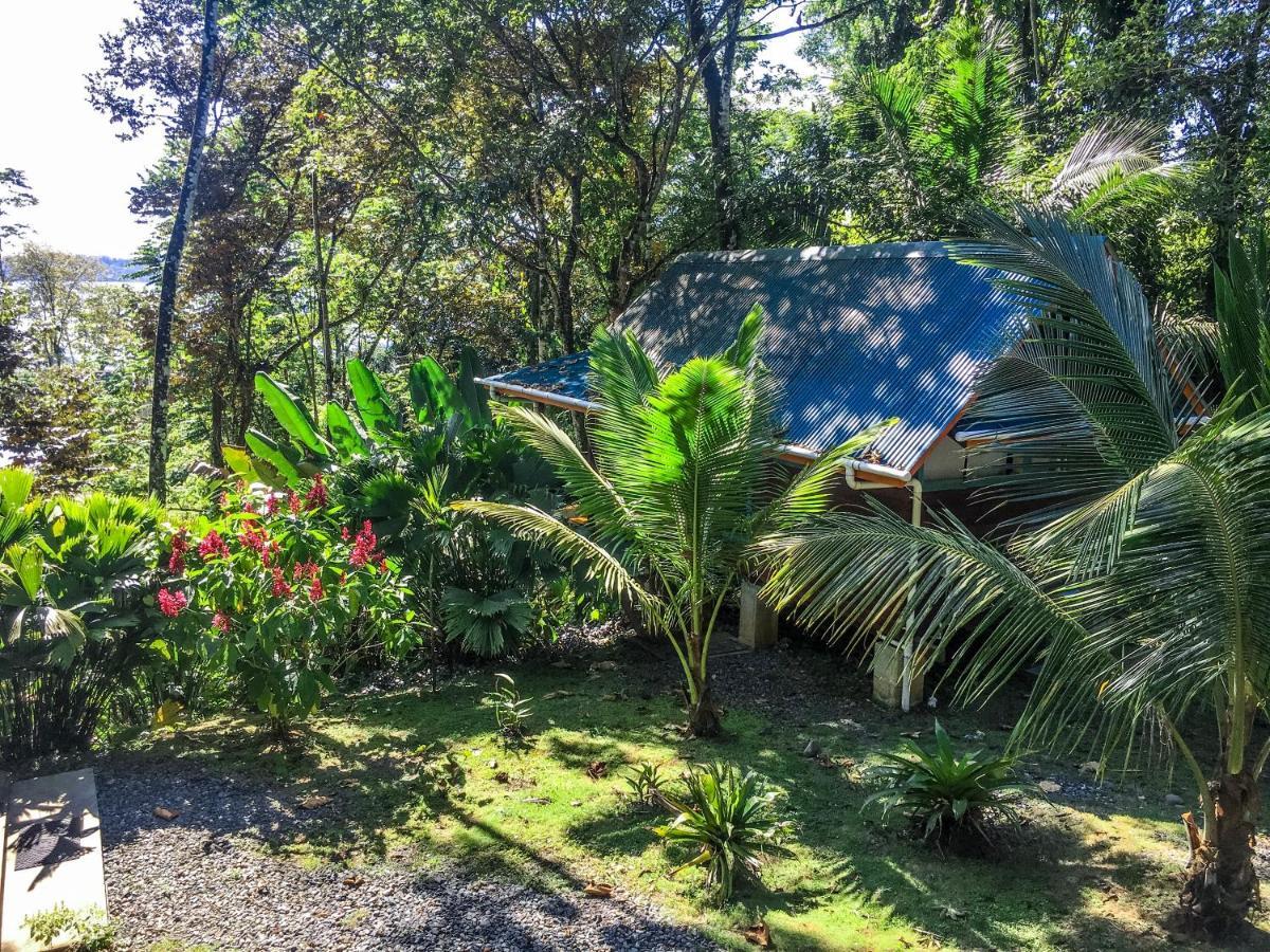 Surf Break At Paunch Bed & Breakfast Bocas del Toro Exterior photo